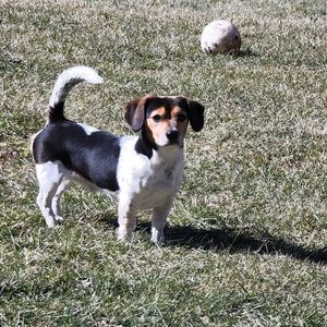 Meet your Posher, Nora lee